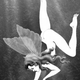 Illustration for article titled Girl Faeries